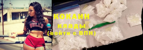 гашиш Богданович