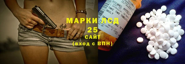 шишки Белокуриха