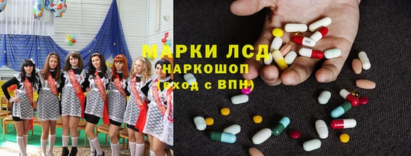 шишки Белокуриха