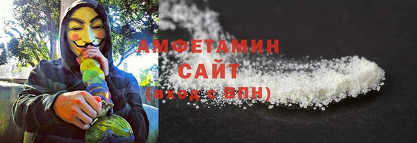 шишки Белокуриха